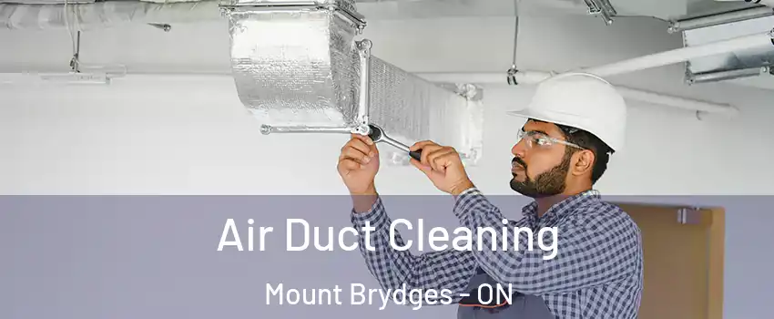  Air Duct Cleaning Mount Brydges - ON