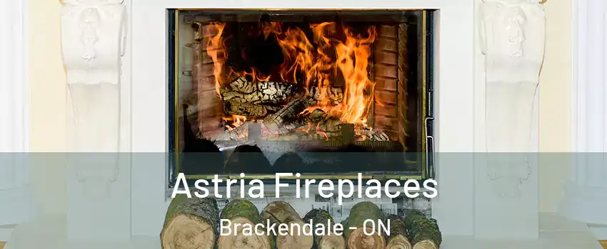  Astria Fireplaces Brackendale - ON