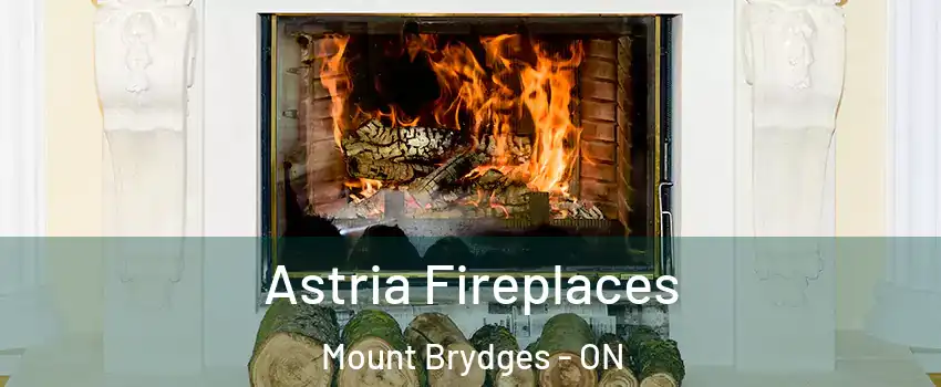  Astria Fireplaces Mount Brydges - ON