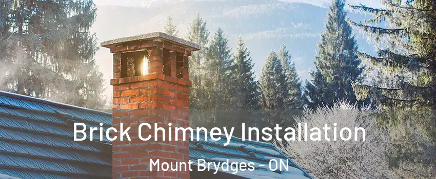  Brick Chimney Installation Mount Brydges - ON