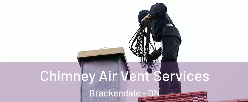  Chimney Air Vent Services Brackendale - ON