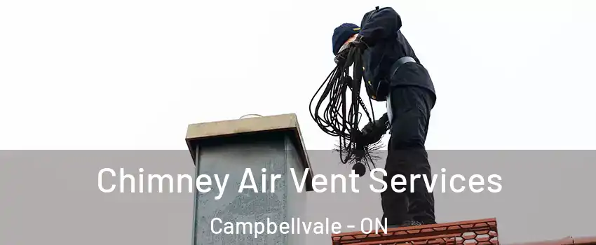  Chimney Air Vent Services Campbellvale - ON