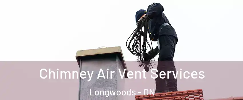  Chimney Air Vent Services Longwoods - ON