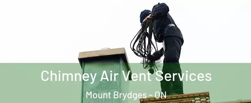  Chimney Air Vent Services Mount Brydges - ON