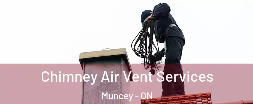  Chimney Air Vent Services Muncey - ON