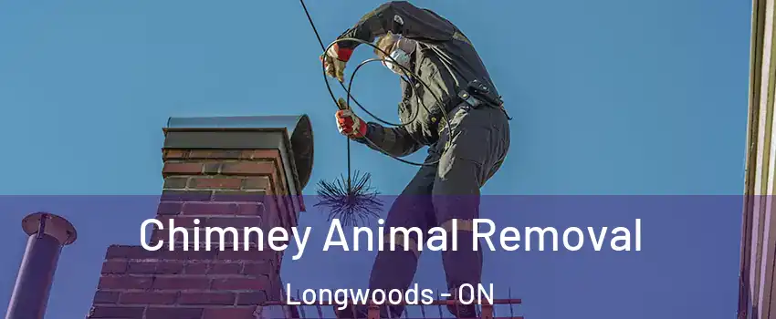  Chimney Animal Removal Longwoods - ON