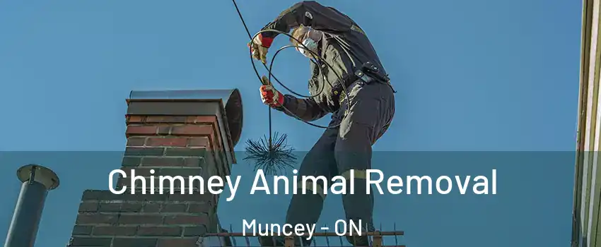  Chimney Animal Removal Muncey - ON