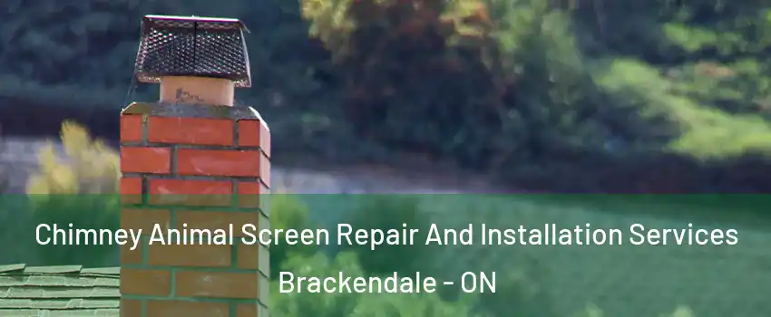  Chimney Animal Screen Repair And Installation Services Brackendale - ON