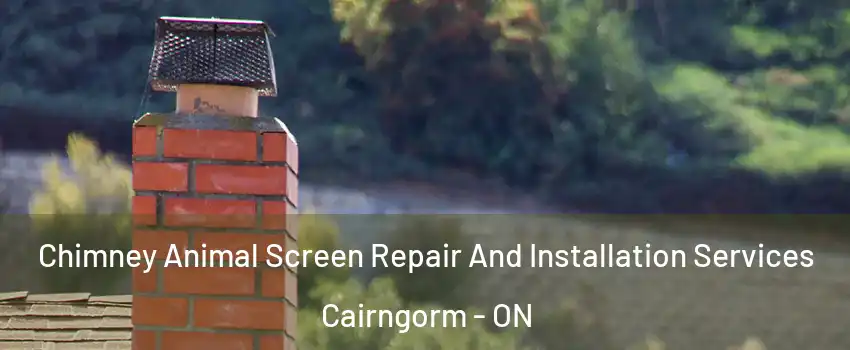  Chimney Animal Screen Repair And Installation Services Cairngorm - ON
