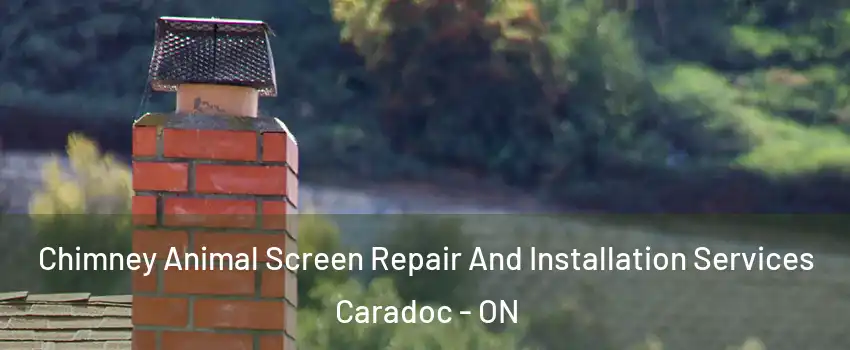  Chimney Animal Screen Repair And Installation Services Caradoc - ON