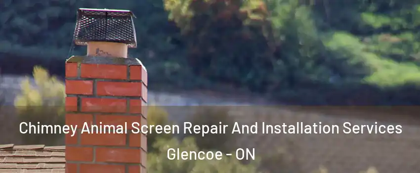  Chimney Animal Screen Repair And Installation Services Glencoe - ON