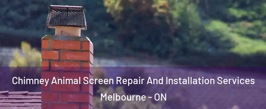  Chimney Animal Screen Repair And Installation Services Melbourne - ON