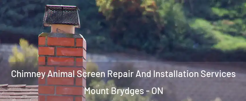  Chimney Animal Screen Repair And Installation Services Mount Brydges - ON