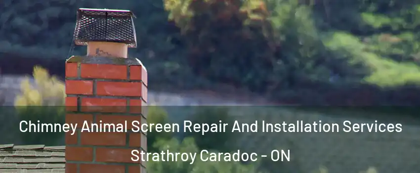  Chimney Animal Screen Repair And Installation Services Strathroy Caradoc - ON