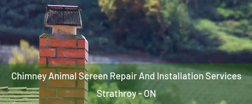  Chimney Animal Screen Repair And Installation Services Strathroy - ON