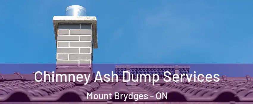  Chimney Ash Dump Services Mount Brydges - ON