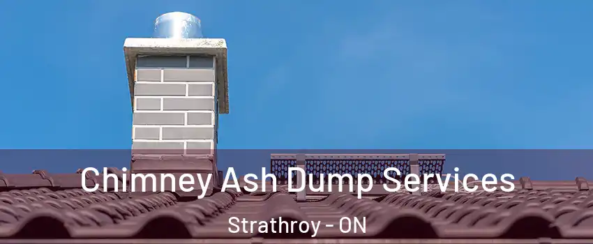  Chimney Ash Dump Services Strathroy - ON