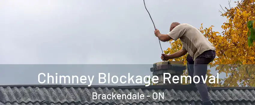  Chimney Blockage Removal Brackendale - ON
