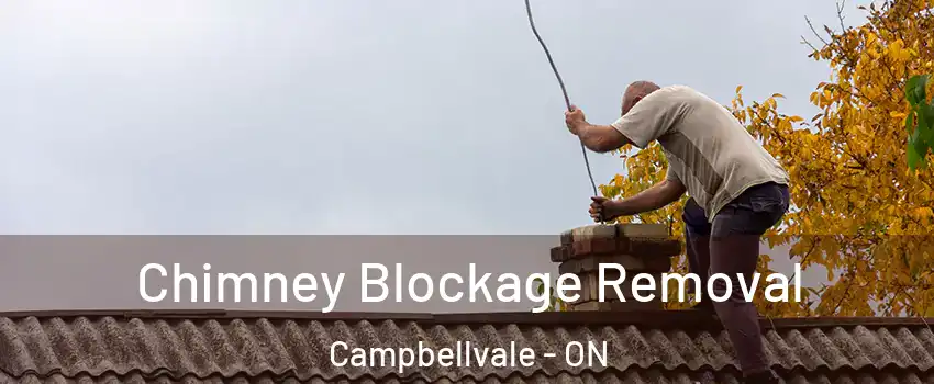  Chimney Blockage Removal Campbellvale - ON