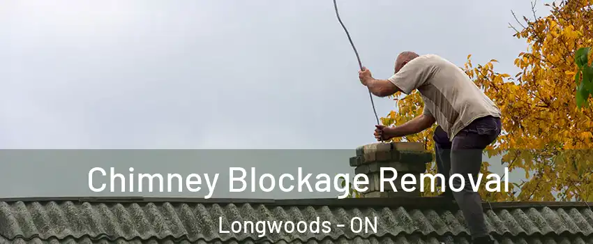 Chimney Blockage Removal Longwoods - ON