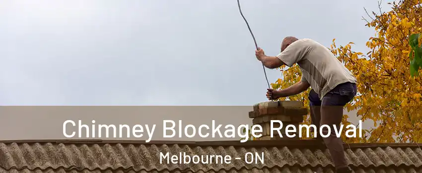  Chimney Blockage Removal Melbourne - ON