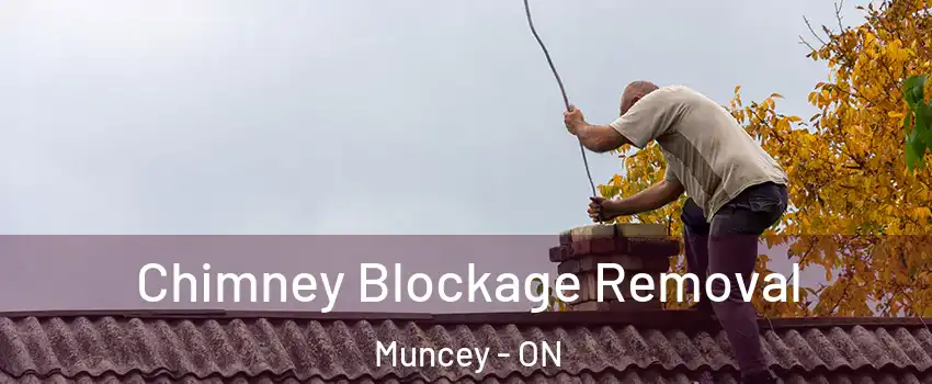  Chimney Blockage Removal Muncey - ON