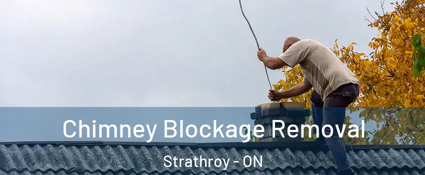  Chimney Blockage Removal Strathroy - ON