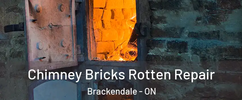 Chimney Bricks Rotten Repair Brackendale - ON
