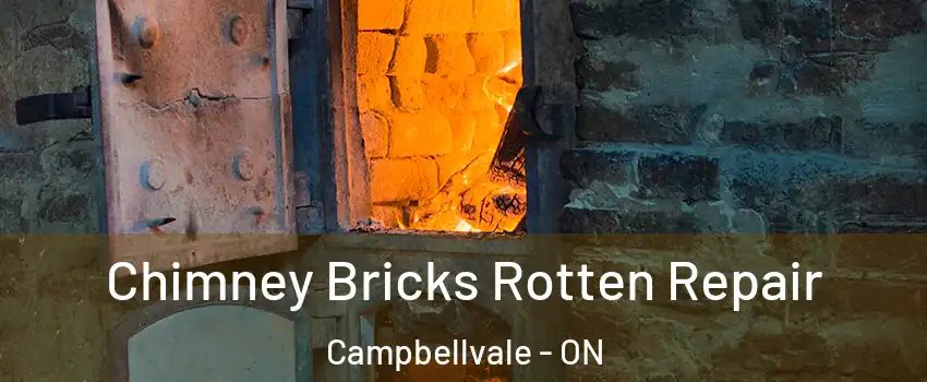  Chimney Bricks Rotten Repair Campbellvale - ON