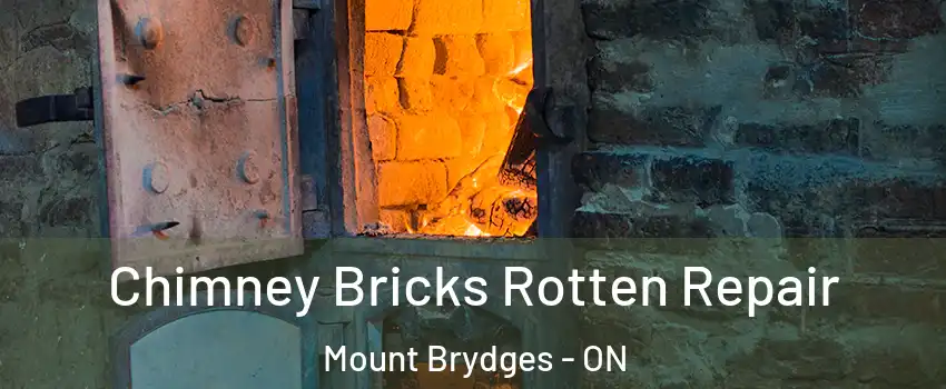  Chimney Bricks Rotten Repair Mount Brydges - ON