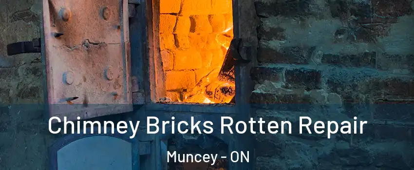  Chimney Bricks Rotten Repair Muncey - ON