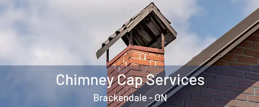  Chimney Cap Services Brackendale - ON