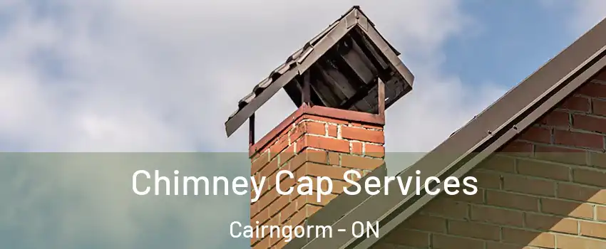  Chimney Cap Services Cairngorm - ON