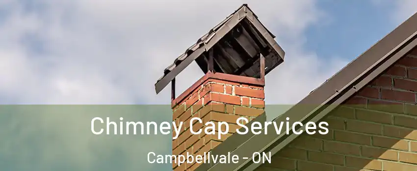  Chimney Cap Services Campbellvale - ON