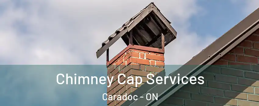  Chimney Cap Services Caradoc - ON