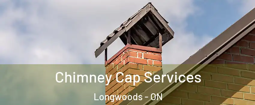  Chimney Cap Services Longwoods - ON
