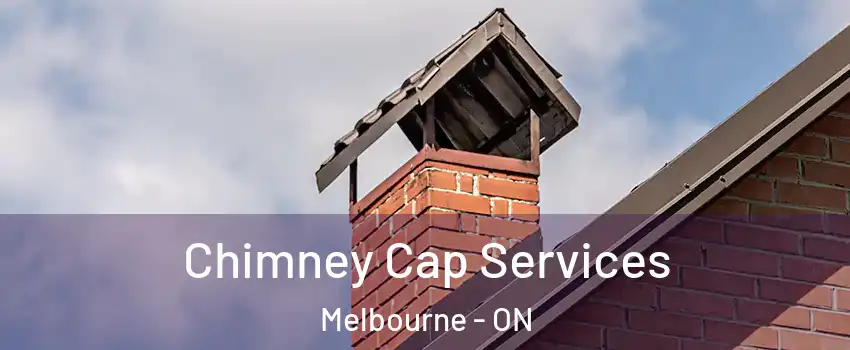  Chimney Cap Services Melbourne - ON