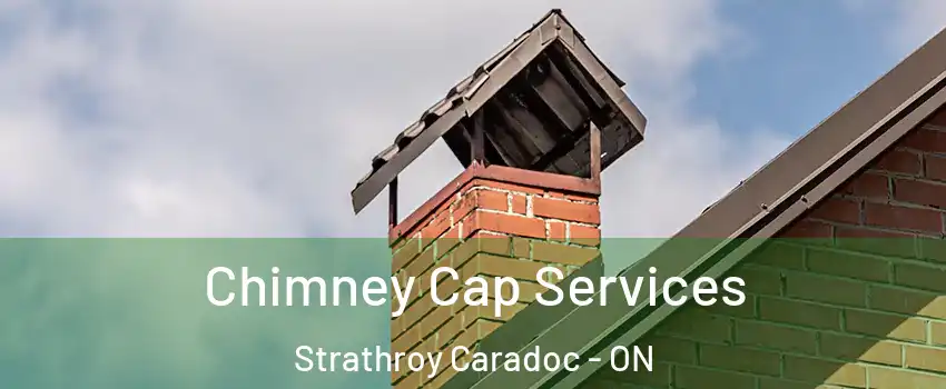  Chimney Cap Services Strathroy Caradoc - ON