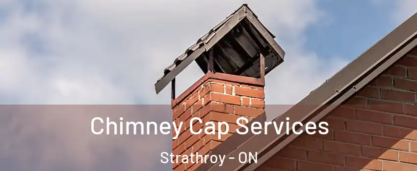  Chimney Cap Services Strathroy - ON