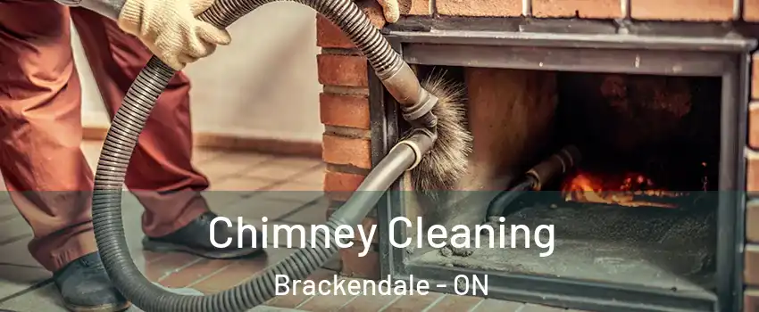  Chimney Cleaning Brackendale - ON