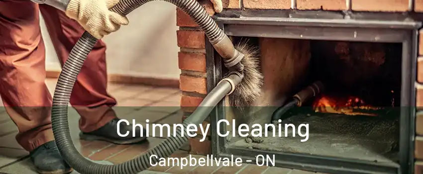  Chimney Cleaning Campbellvale - ON