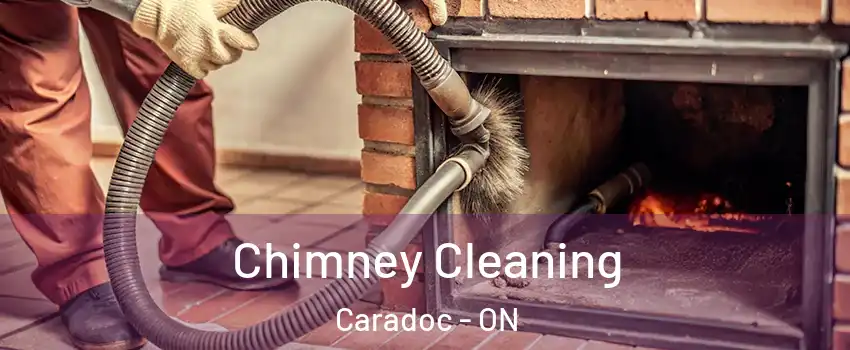  Chimney Cleaning Caradoc - ON