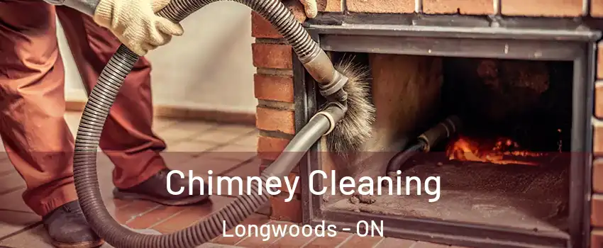  Chimney Cleaning Longwoods - ON