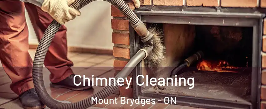  Chimney Cleaning Mount Brydges - ON