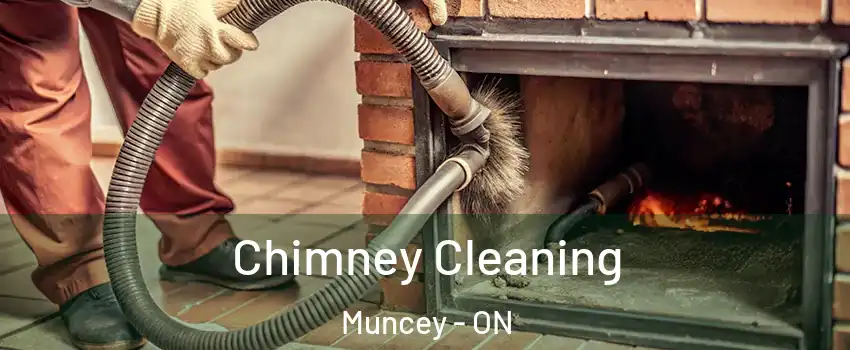  Chimney Cleaning Muncey - ON