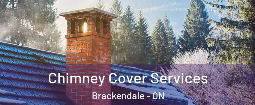  Chimney Cover Services Brackendale - ON