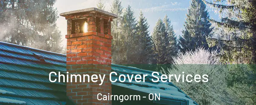  Chimney Cover Services Cairngorm - ON