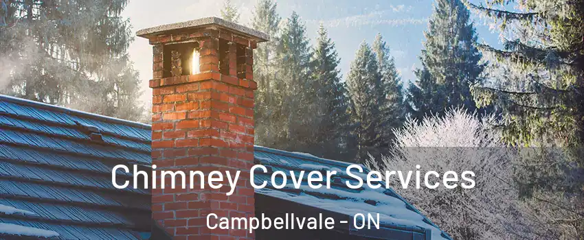  Chimney Cover Services Campbellvale - ON