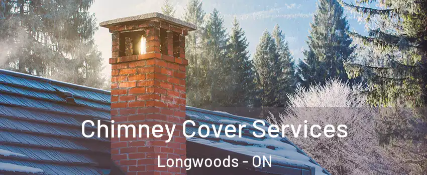  Chimney Cover Services Longwoods - ON