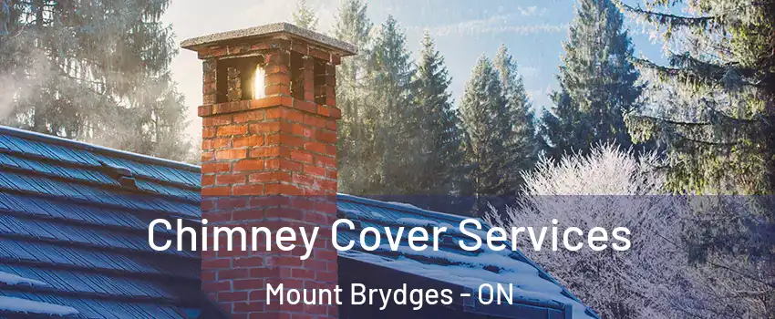  Chimney Cover Services Mount Brydges - ON